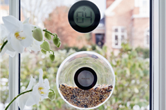 Birdfeder og termometer til vindue